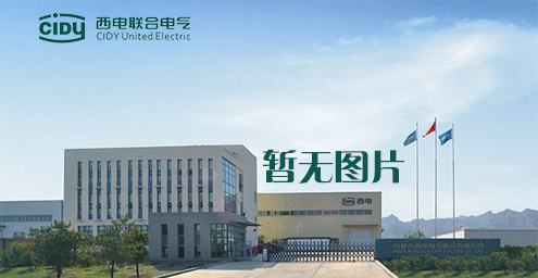 國(guó)內(nèi)首個(gè)商業(yè)化運(yùn)營(yíng)交直流混合微電網(wǎng)投運(yùn)