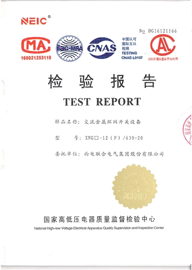 XGN-12/630A 環(huán)網(wǎng)開關(guān)設(shè)備（檢驗(yàn)報告）