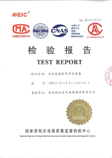 XGN-12/1250A 環(huán)網(wǎng)開關(guān)設(shè)備（檢驗(yàn)報告）